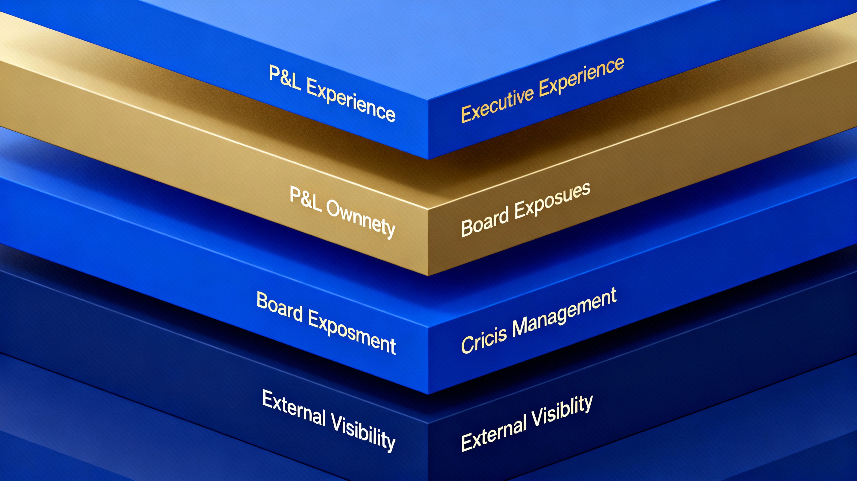 CEO experience requirements and development pathway